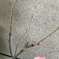 多的都几点快递头像