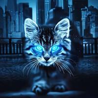 0酷猫0头像
