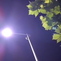 凤飞飞的彤麻麻头像