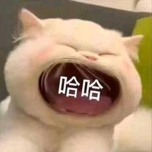 草莓布丁头像