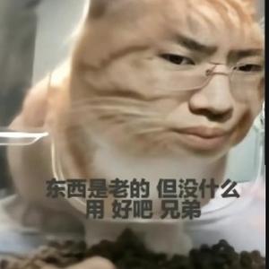 听泉寻新鲜哥头像