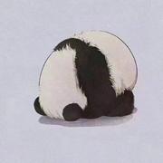 黑白453的个人资料头像