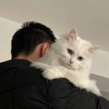 用户7316272169238头像