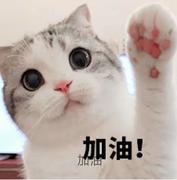 用户6562754473807的个人资料头像