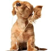 海纳百川在掘金的个人资料头像