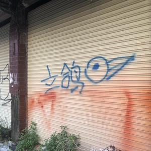 A立鸽头像