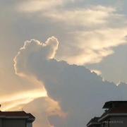 啊啦啵唧的个人资料头像