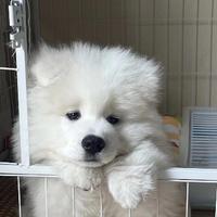 给你一发千年杀头像