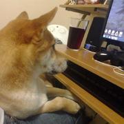 asc2894的个人资料头像