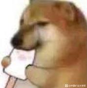 Oneciting的个人资料头像