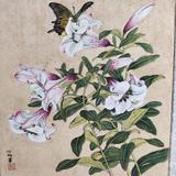唐振轩377头像