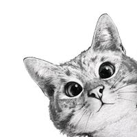 ღ幸运小绵羊头像