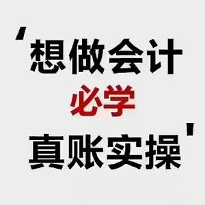 老会计手把手教做账头像