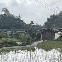 迪化ren波切头像