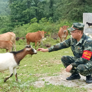 瑶家光哥头像