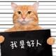 用户82881794306 · 红旗HS5车主·车龄2年头像