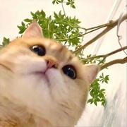 yekira的个人资料头像