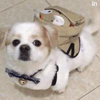 奔跑的热情头像