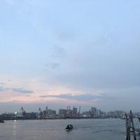 Q头像