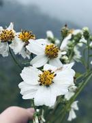 时代中的一粒沙的个人资料头像