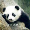 a庭院深深深几许头像