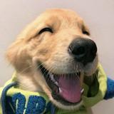 用户7415044741786头像