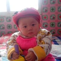 我家思域叫兔兔头像