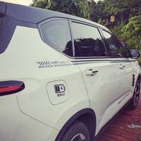 乐天派菠萝xAT头像