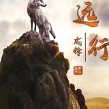 用户7565009527373头像