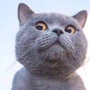 袁某人891的个人资料头像