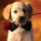 自的个人资料头像