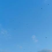 阿亮AL的个人资料头像