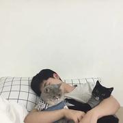 源愿的个人资料头像