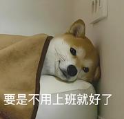 大罐的个人资料头像