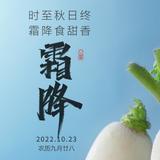 走四方路迢迢酒阑歌头像