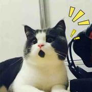 用户4539685964110的个人资料头像