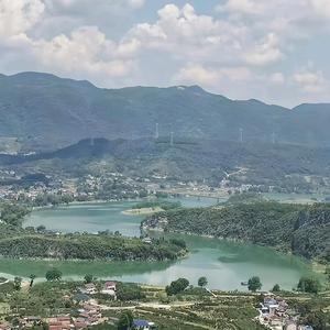 明月村（应季水果）头像