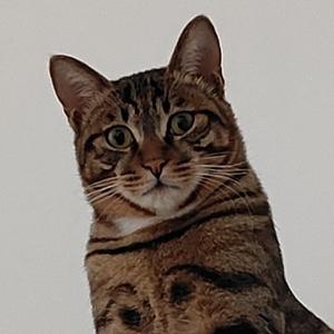 милая вечеринка