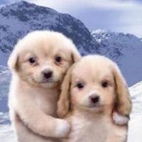 施主丿醉过醉过头像