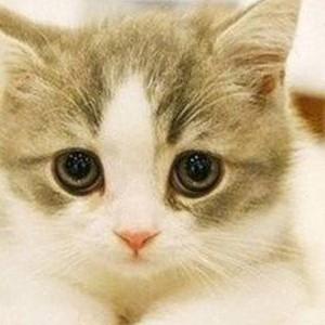 小雨音乐影视剧头像