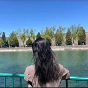 YOLOO的个人资料头像