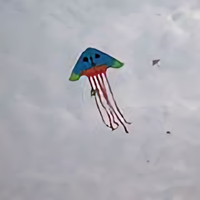 水军志愿者头像