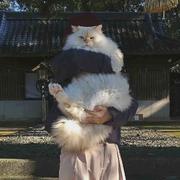 Augustus639的个人资料头像