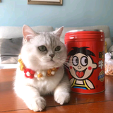 鹏       头像