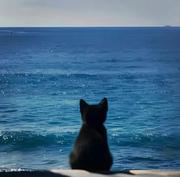 Jayco江柯的个人资料头像