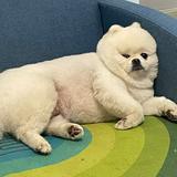 热呼呼的李四头像