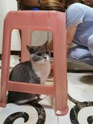 梅落汐宣的个人资料头像