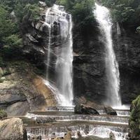 小白老师哈头像