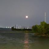 汤逊湖边126头像