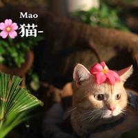 那个奇怪的地方头像